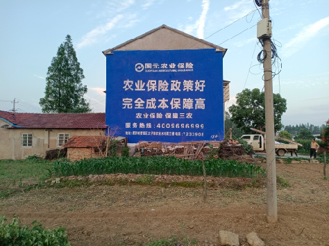  武宁墙体广告为何受追捧？